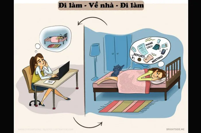 Bộ ảnh siêu hài hước: Những sự thật chỉ dân văn phòng mới hiểu