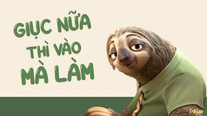 100+ meme con lười Flash Zootopia hot trend hình nền cho dân văn phòng
