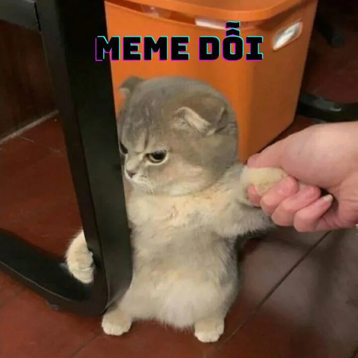 Bộ sưu tập ảnh Meme dỗi cute cưng xỉu, thả đâu cũng hợp mood