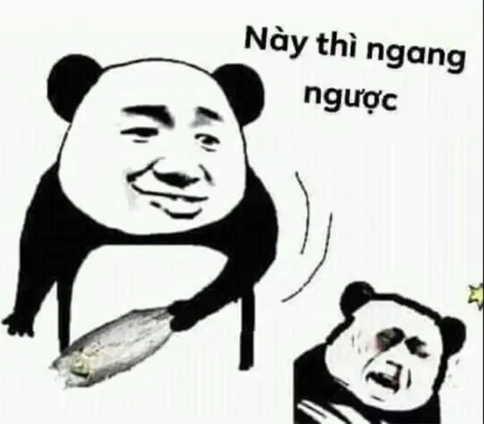 Bộ sưu tập 55+ ảnh meme dỗi hài hước nhất cho bạn trẻ