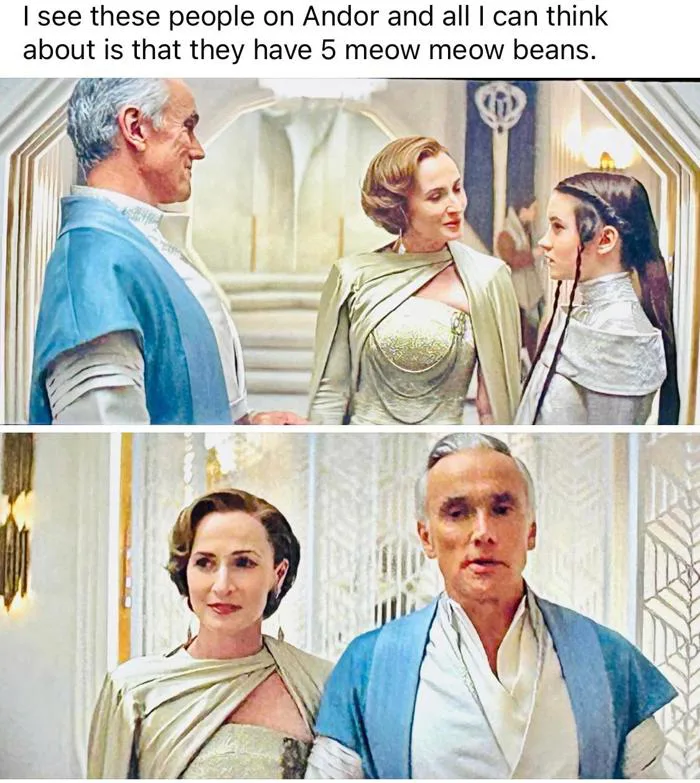 Tìm thấy meme meow meow beans ngoài đời thực : r/community