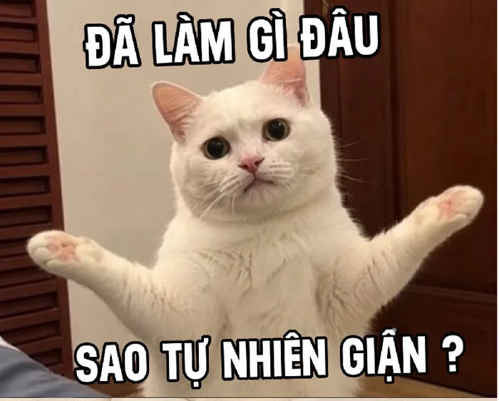 87+ Đã Làm Gì Đâu meme ai biết gì đâu siêu hài