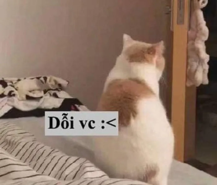 Tổng hợp các ảnh meme dỗi dễ thương, hài hước và vui nhộn