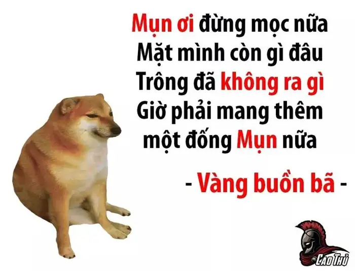 70+ Meme Chế Thơ, Câu Nói Đạo Lý xưa được remake lại giúp bạn khuyên người  cực hài