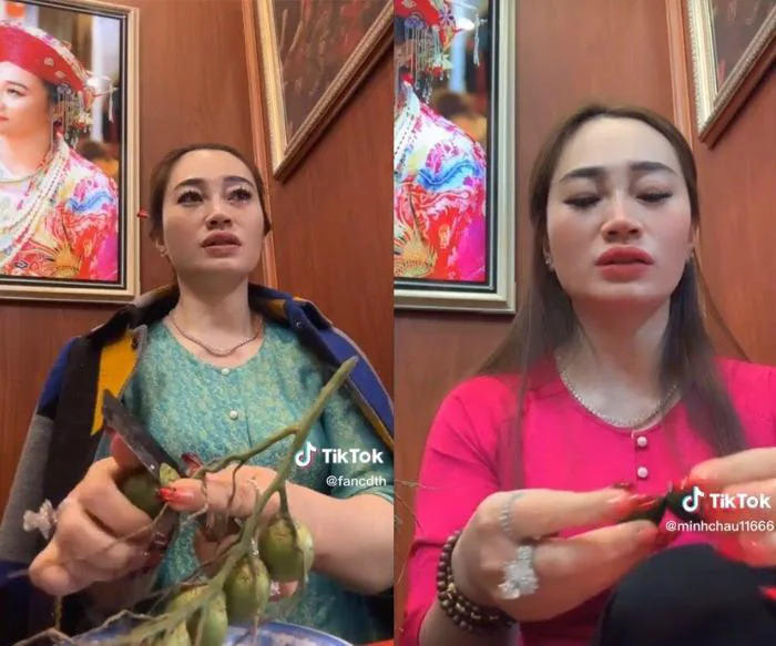 Đúng nhận sai cãi: Hot trend bổ cau xem bói viral Tiktok bắt nguồn từ đâu?  - BlogAnChoi