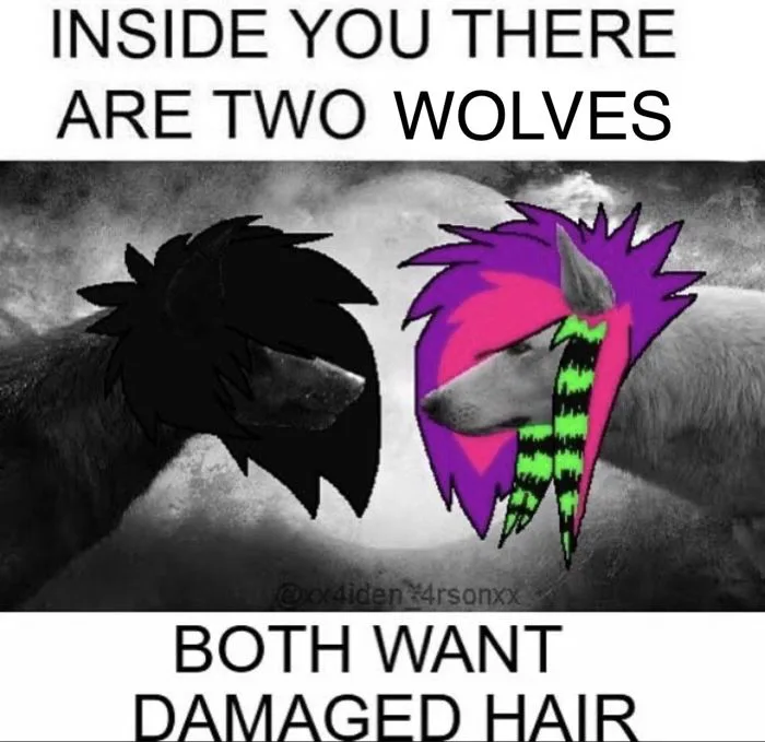 780 Funny emo memes ideas in 2026 | emo memes, mcr memes, emo bands