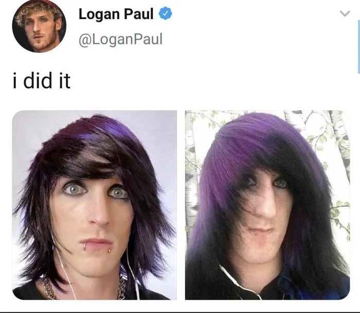 Thanks I hate emo Logan Paul : r/TIHI
