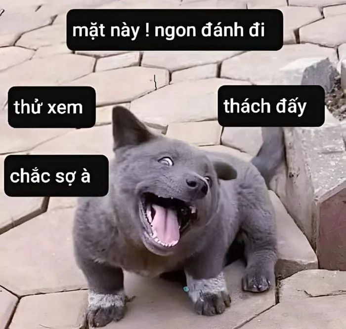 meme-facebook-1