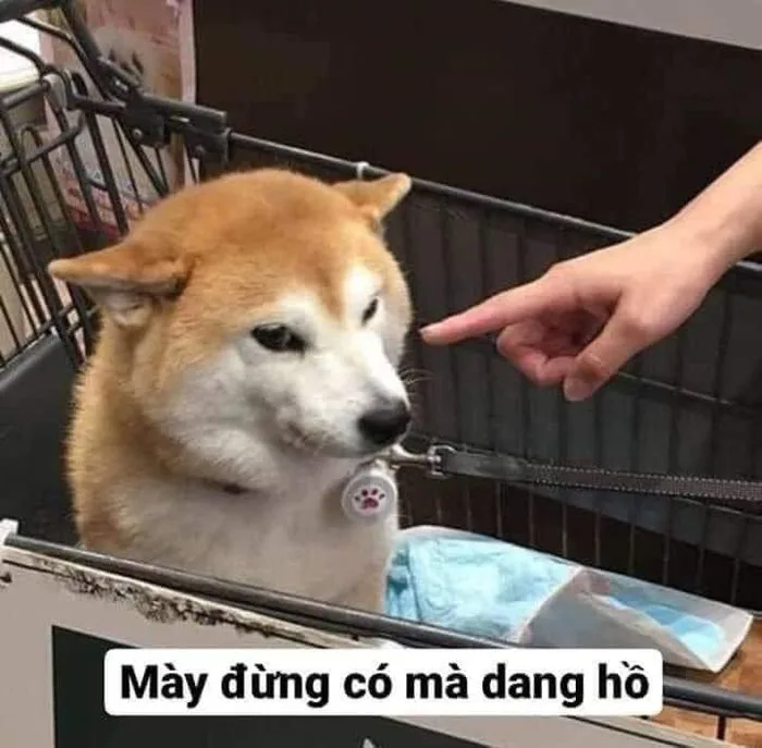 670 MeMe on Facebook :33 ý tưởng trong 2026 | hình biểu cảm, gấu trúc, ảnh  hài hước nhất