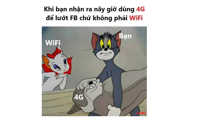 Tổng hợp meme “hài hước” trong tuần: Dùng 4G lướt Facebook, gõ Google vào  Google, Zeros bị ban vĩnh viễn | GEARVN