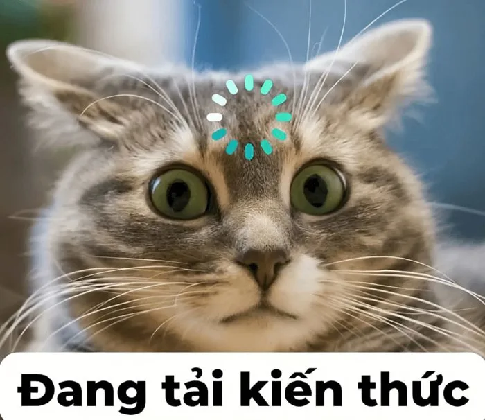 Meme là gì trên Facebook? Tổng hợp meme cực HOT hiện nay