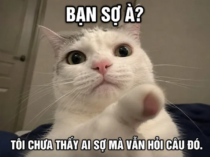 Ảnh chế bạn sợ à meme ếch ộp siêu hài thái độ ra mặt