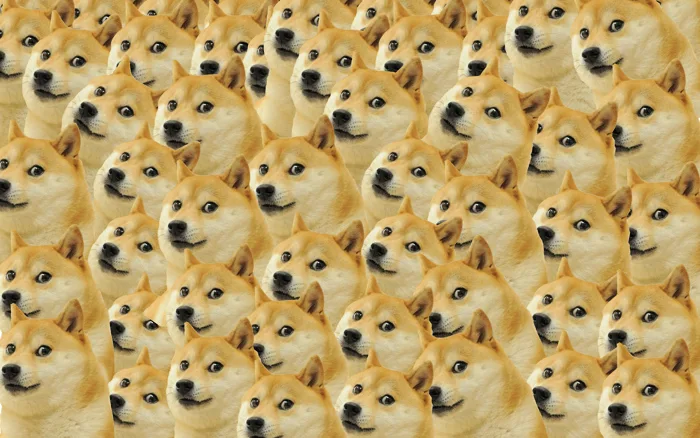 1920x1080 Doge Meme Laptop Full HD 1080P ,HD 4k  Wallpapers,Images,Backgrounds,Photos and Pictures