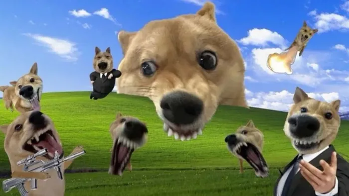Hình nền laptop meme siêu hài giúp xả stress sau mùa thi
