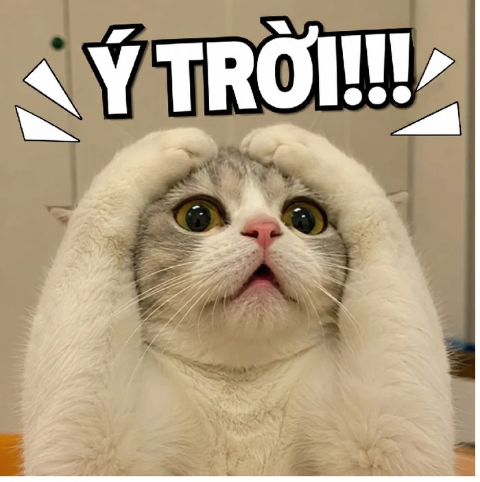 155+ Ý Trời meme Gia Cát Lượng quạt ảnh chế siêu hài