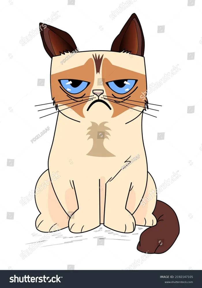 Siamese Angry Grumpy Cat Famous Meme: Hình minh họa có sẵn 2192147105 |  Shutterstock