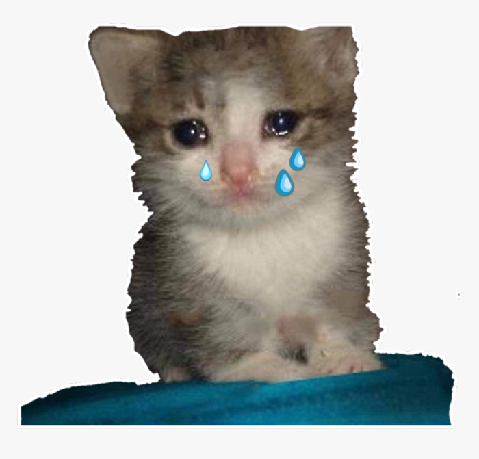 gato #lloro #llanto #cat #sad #lágrimas - Crying Cat Meme Transparent, HD  Png Download - kindpng