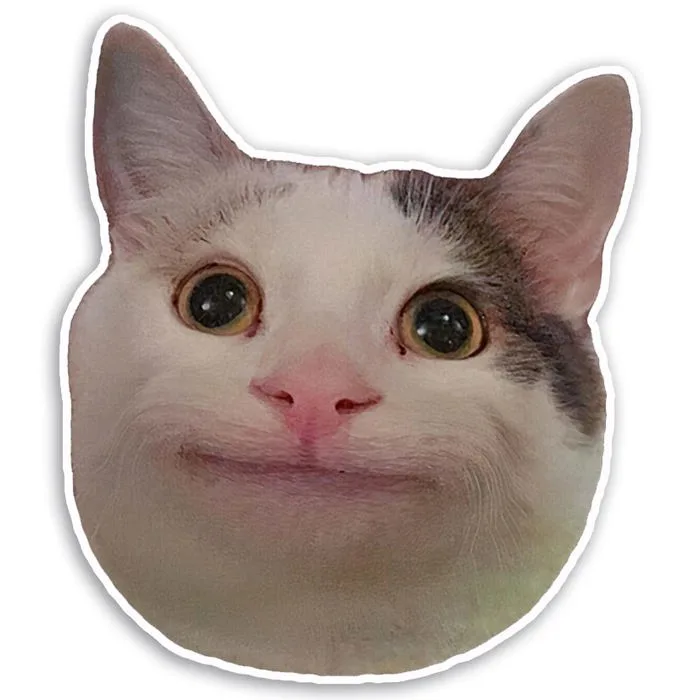 Smiling Baluga Cat Meme Sticker for Laptop 4.5