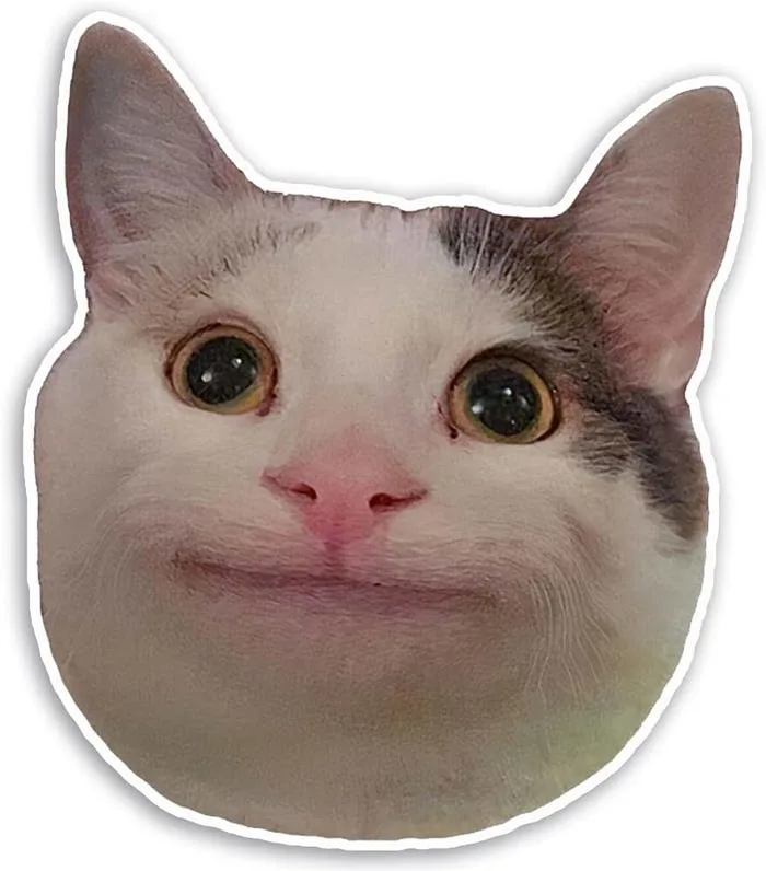Smiling Baluga Cat Meme Sticker Decal Notebook Car Laptop 4.5