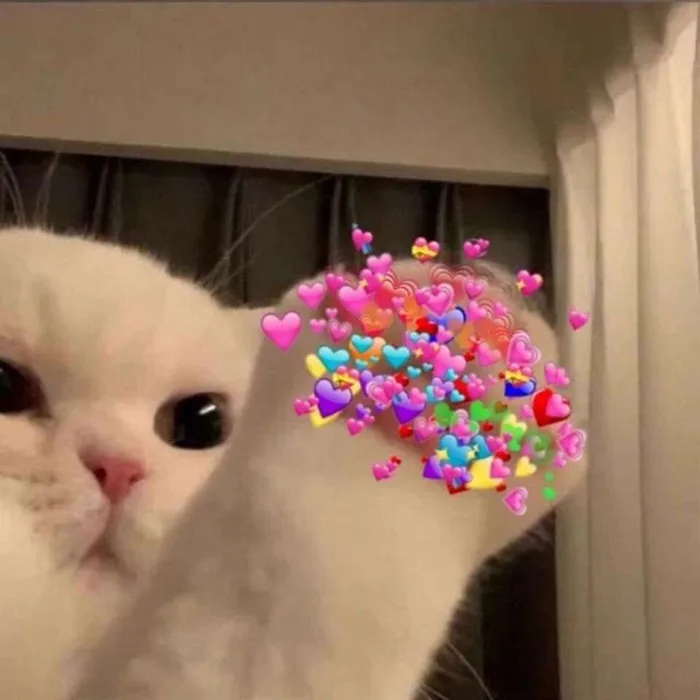 Mời bạn tải ngay các mẫu meme trái tim siêu đáng yêu, ấn tượng và hài hước  nhất hiện nay