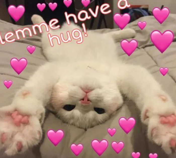Mời bạn tải ngay các mẫu meme trái tim siêu đáng yêu, ấn tượng và hài hước  nhất hiện nay