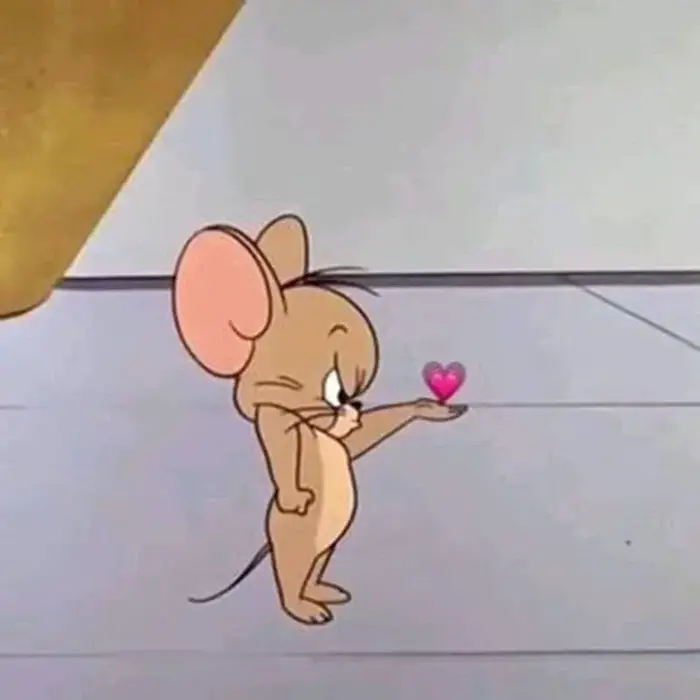 Ảnh thả tim meme hài hước giúp bạn giải trí mỗi ngày