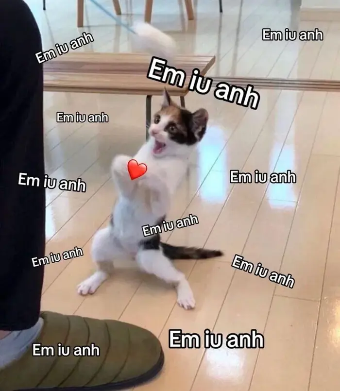 Meme trái tim đẹp nhất để thể hiện tình yêu ngọt ngào
