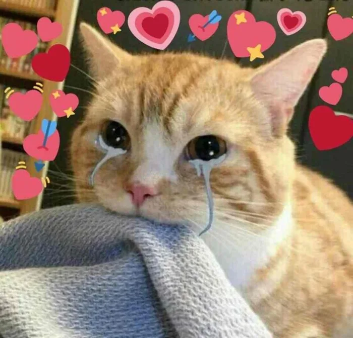 Mời bạn tải ngay các mẫu meme trái tim siêu đáng yêu, ấn tượng và hài hước  nhất hiện nay