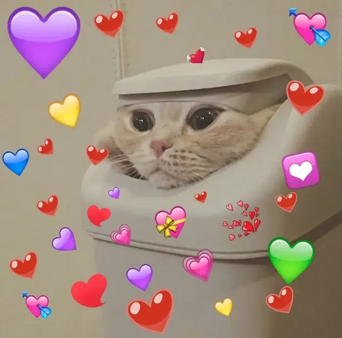 Meme trái tim đẹp nhất để thể hiện tình yêu ngọt ngào