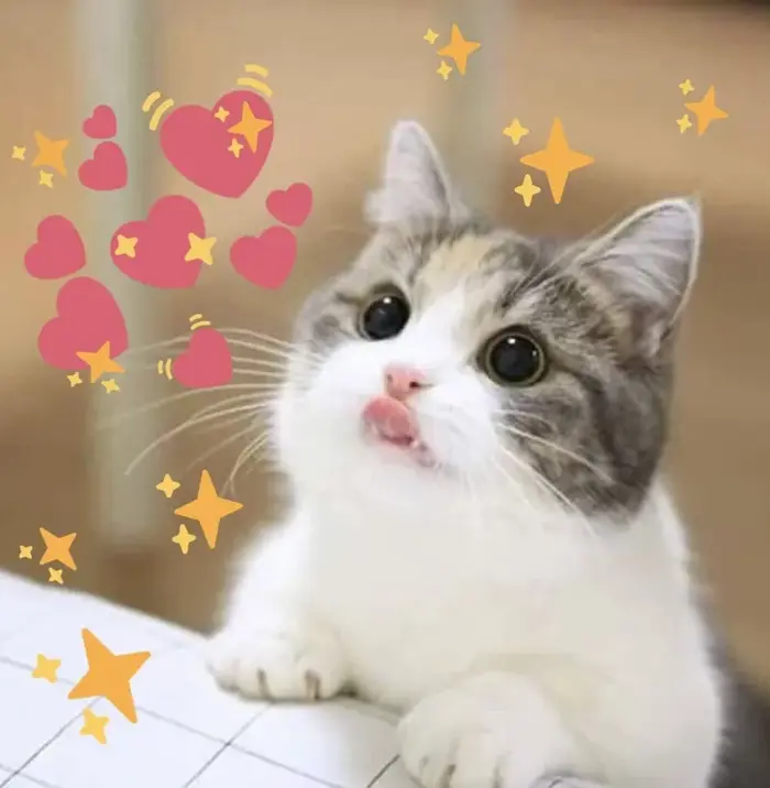Meme trái tim đẹp nhất để thể hiện tình yêu ngọt ngào