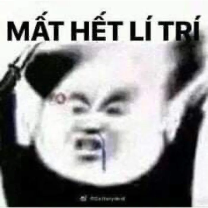 Meme gấu trúc