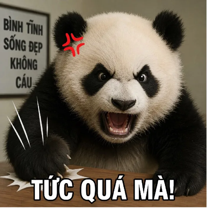 148+ Meme Gấu Trúc Tức Giận cáu cọc hài banh xác cmnr