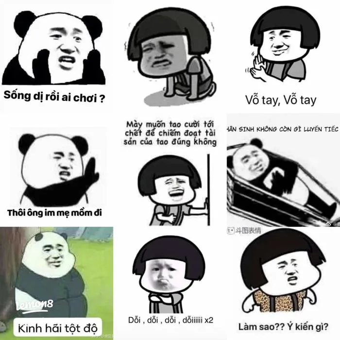 Tổng hợp meme gấu trúc hài hước: ảnh mặt gấu meme đen trắng siêu bựa