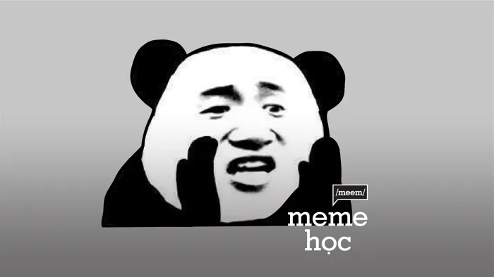 Ở đây chúng tôi có meme gấu trúc | Vietcetera
