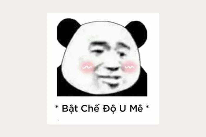 Tuyển tập 99+ hình gấu trúc meme cực hài, bá đạo và hóm hỉnh | Yody