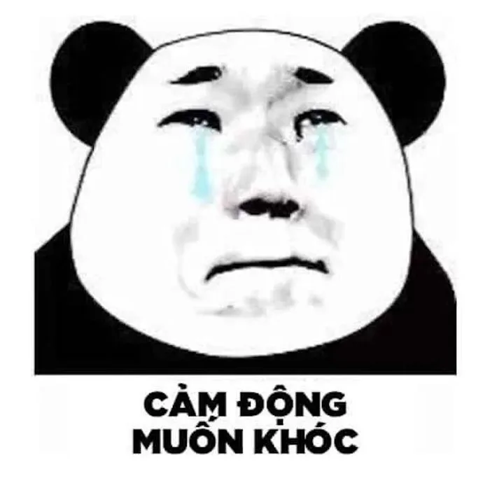 Tổng Hợp 100+ Meme Gấu Trúc Hài Hước, Hóm Hỉnh 2026