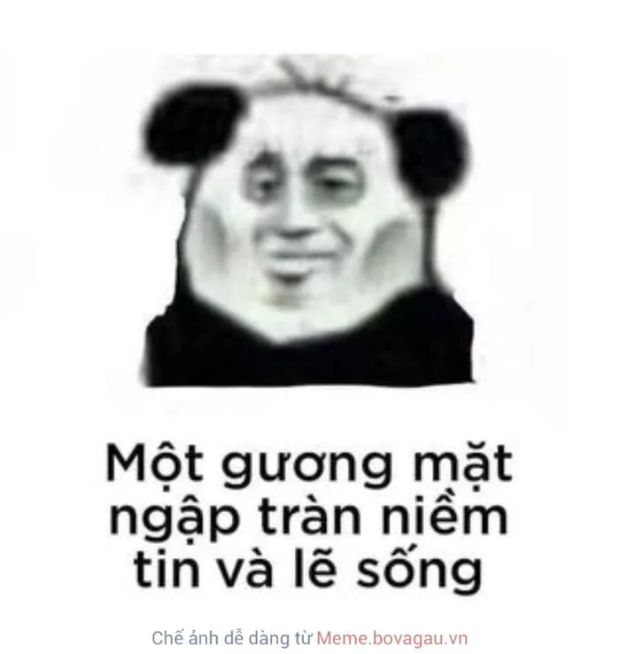 Meme Gấu Trúc là gì? Tại sao Meme Gấu Trúc lại được yêu thích? Tổng hợp Meme  Gấu Trúc hài hước và thú vị nhất cho nhà đầu tư
