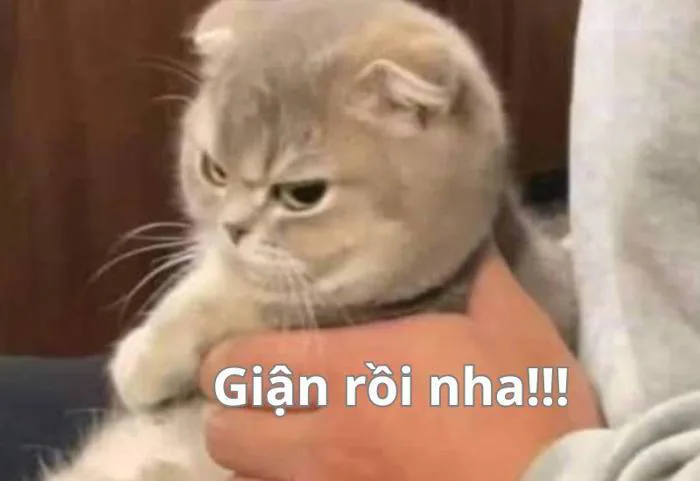 meme-gian-hon-1