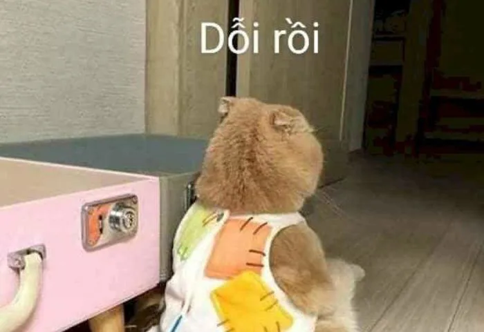 Trọn bộ meme giận dỗi dễ thương cute, hờn dỗi giận người yêu