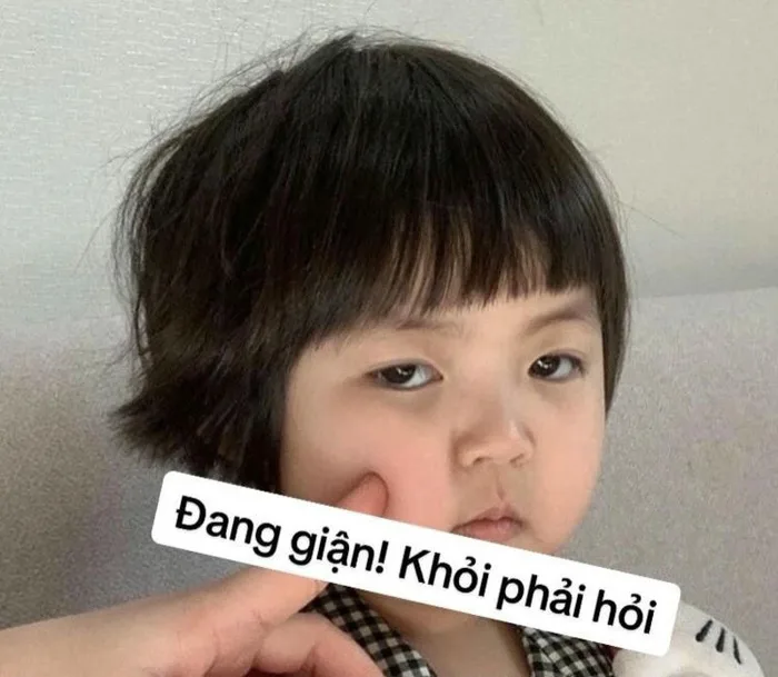 Bộ sưu tập 134+ ảnh meme giận dỗi cực đáng yêu cho bạn