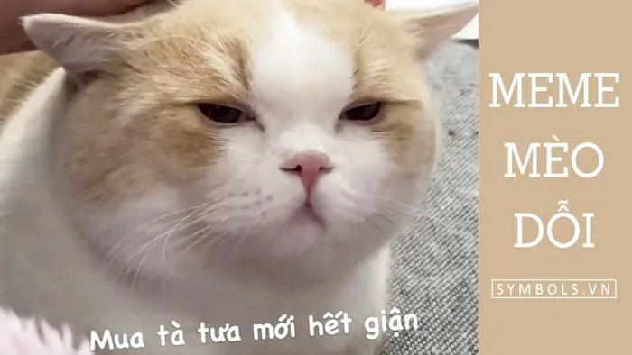 Meme Mèo Dỗi Siêu Dễ Thương [Ảnh Mèo Giận Người Yêu Cute]
