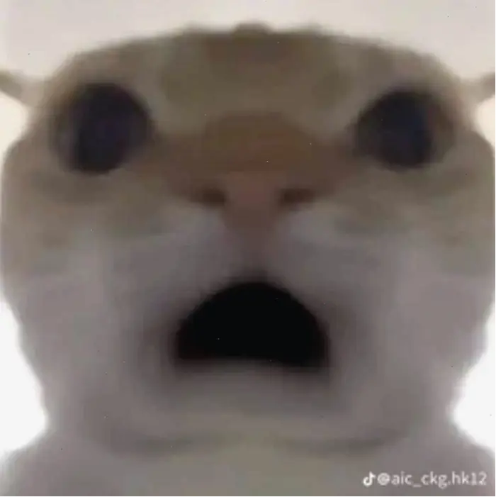 180+ Meme Sốc Biểu Cảm Choáng Váng Biến Tình Huống Khó Đỡ Thành Ảnh Chế Hài Hước