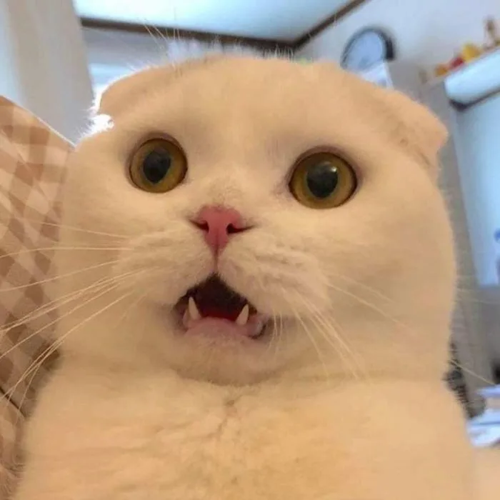 Tổng hợp ảnh meme bất ngờ hài hước làm bạn trở tay không kịp