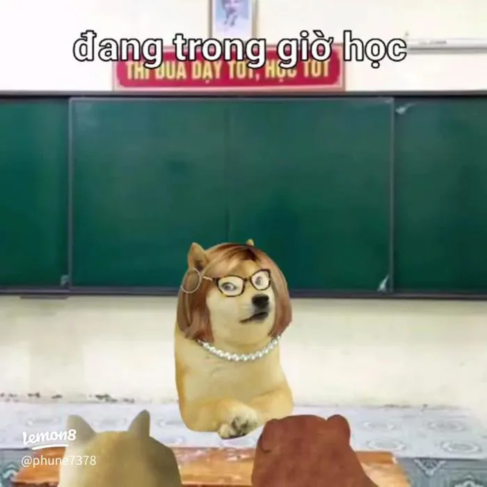 Tổng hợp ảnh meme hài bất ngờ: lớp học hoảng loạn, bạn thân mất bình tĩnh