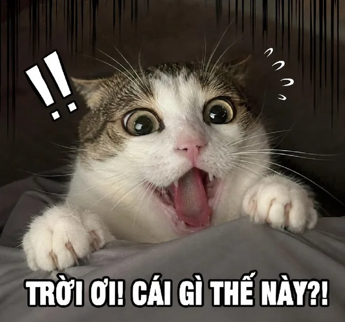 212+ Meme Sợ Hãi Hoảng Hốt ảnh chế siêu tếu cười ngất