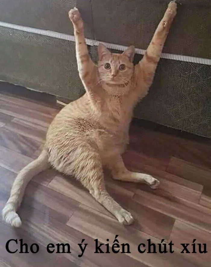 Meme Giơ Tay, Em Bé Giơ Tay Hài Hước [Chế Siêu Bá Đạo]