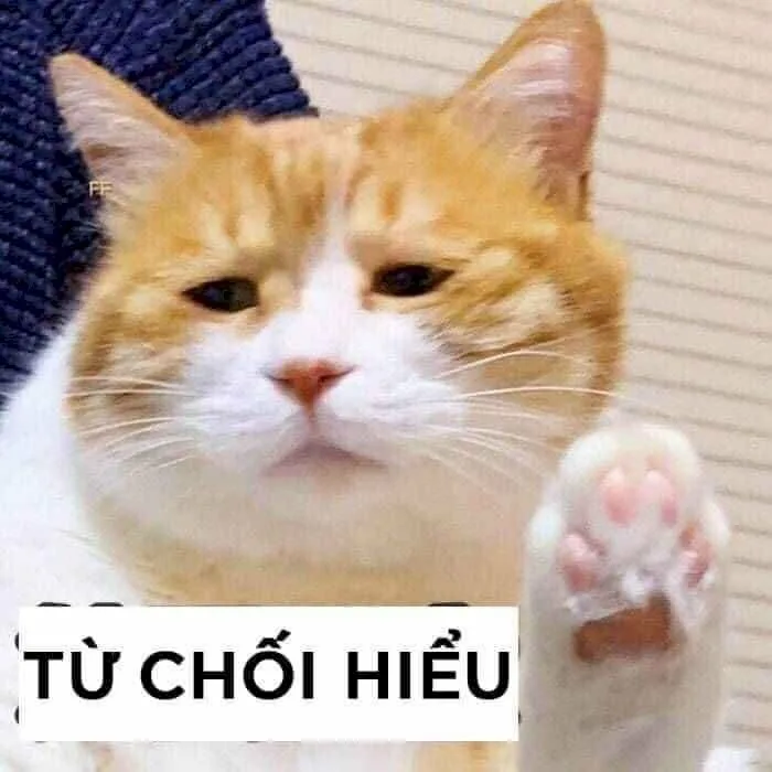 Tuyển Tập 150+ Meme Giơ Tay Cực Hot Dân Mạng Đang Săn Lùng