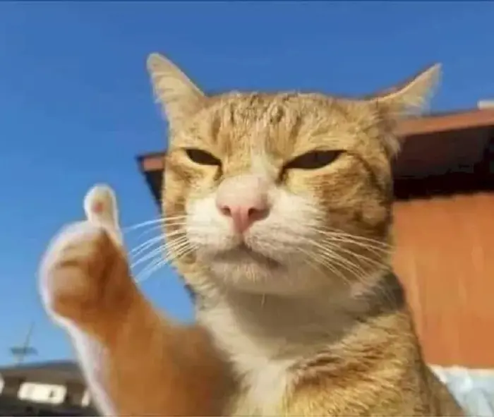 Tuyển Tập 150+ Meme Giơ Tay Cực Hot Dân Mạng Đang Săn Lùng