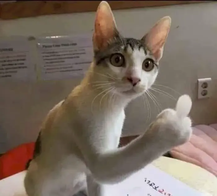 Tuyển Tập 150+ Meme Giơ Tay Cực Hot Dân Mạng Đang Săn Lùng