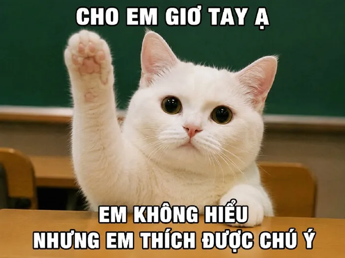 156+ Meme Giơ Tay dơ tay phát biểu hot khắp MXH